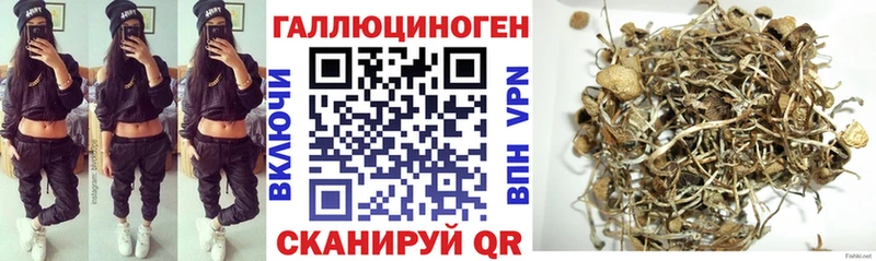 Псилоцибиновые грибы Magic Shrooms  Купить закладки  Власиха 